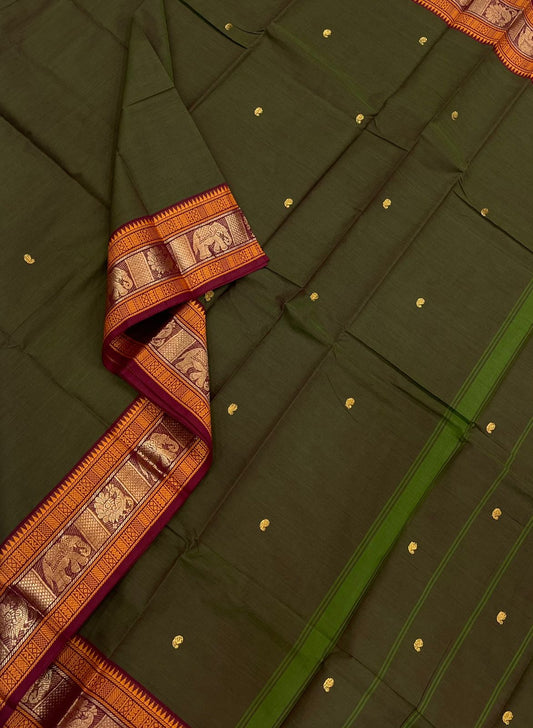 Kanchi cotton|  green x marron | small zari border