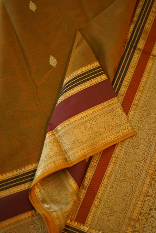 kanchi silk cotton sarees